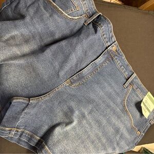 Terra & Sky Women's Blue Jean Shorts